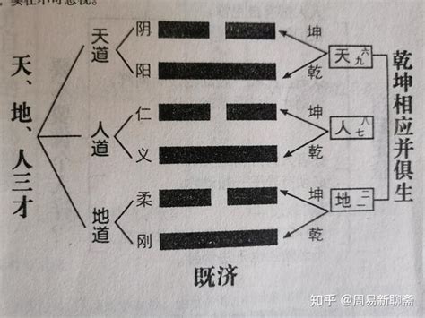 天地人有利|张其金解读“天地人”三才之道：共同构成了《易经》的核心思想